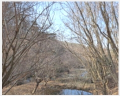  2025Ÿ500605   ô 36       ð