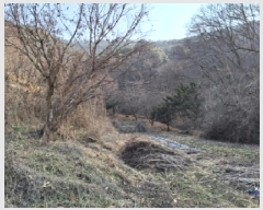  2025Ÿ500605   ô 36       ð