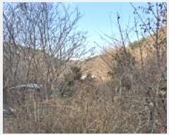  2025Ÿ500605   ô 36       ð