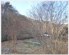  2025Ÿ500605   ô 36       ð