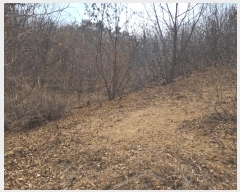  2025Ÿ502048 Ưġ 屺 ⸮ 32-26       (Ӿ)