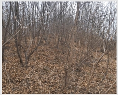  2025Ÿ502048 Ưġ 屺 ⸮ 32-26       (Ӿ)