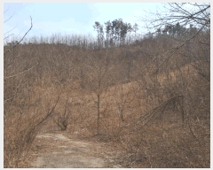  2025Ÿ502048 Ưġ 屺 ⸮ 32-26       (Ӿ)