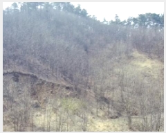  2025Ÿ502048 Ưġ 屺 ⸮ 32-26       (Ӿ)