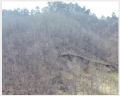  2025Ÿ502048 Ưġ 屺 ⸮ 32-26       (Ӿ)