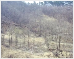  2025Ÿ502048 Ưġ 屺 ⸮ 32-26       (Ӿ)