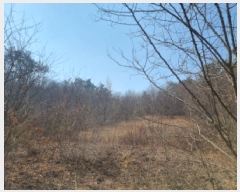  2025Ÿ502048 Ưġ 屺 ⸮ 32-26       (Ӿ)