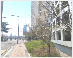  2025Ÿ502093 Ưġ  255-21, 8867ȣ(, 2ǪƼ)      ǽڰ