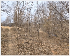  2025Ÿ502113 Ưġ 屺 ⸮ 42-62       (Ӿ)