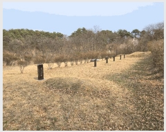  2025Ÿ502113 Ưġ 屺 ⸮ 42-62       (Ӿ)