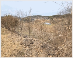  2025Ÿ502113 Ưġ 屺 ⸮ 42-62       (Ӿ)