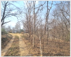  2025Ÿ502113 Ưġ 屺 ⸮ 42-62       (Ӿ)