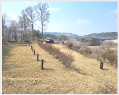  2025Ÿ502113 Ưġ 屺 ⸮ 42-62       (Ӿ)