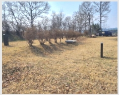  2025Ÿ502113 Ưġ 屺 ⸮ 42-62       (Ӿ)