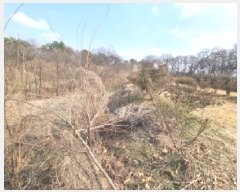  2025Ÿ502113 Ưġ 屺 ⸮ 42-62       (Ӿ)