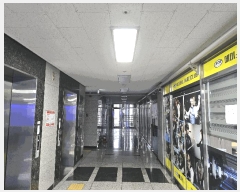  2025Ÿ502256  ٸ󰡰