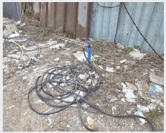  2025Ÿ��502383  �����