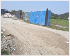  2025Ÿ��502383  �����