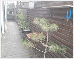  2025Ÿ��502670  �ٸ����ð��