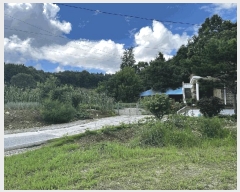  2025Ÿ502805 Ưġ  ۰ 169-1       ()