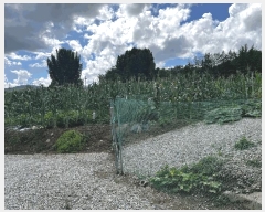  2025Ÿ502805 Ưġ  ۰ 169-1       ()