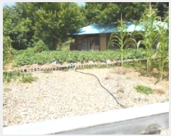  2025Ÿ502805 Ưġ  ۰ 169-1       ()