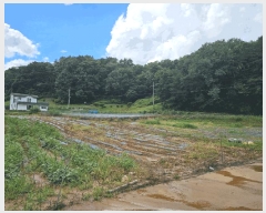  2025Ÿ��502815  �����