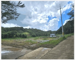  2025Ÿ��502815  �����