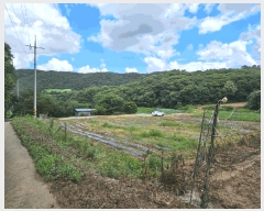  2025Ÿ��502815  �����