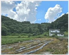  2025Ÿ��502815  �����