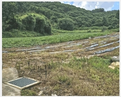  2025Ÿ��502815  �����