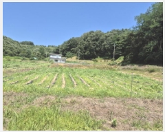  2025Ÿ��502815  �����