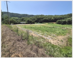  2025Ÿ��502815  �����