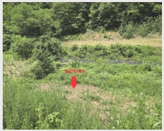  2025Ÿ502953 泲 ݻ걺 ̸  268      ()