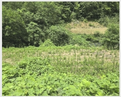  2025Ÿ502953 泲 ݻ걺 ̸  268      ()