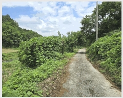  2025Ÿ502953 泲 ݻ걺 ̸  268      ()