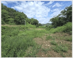  2025Ÿ502953 泲 ݻ걺 ̸  268      ()