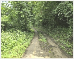  2025Ÿ502953 泲 ݻ걺 ̸  268      ()