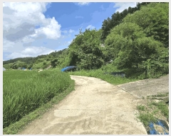  2025Ÿ502953 泲 ݻ걺 ̸  268      ()