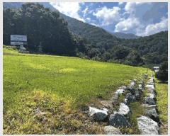  2025Ÿ��502981 �泲 �ݻ걺 �ߺθ� ���븮 29      ����(�Ӿ�)���