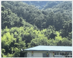  2025Ÿ��502981 �泲 �ݻ걺 �ߺθ� ���븮 29      ����(�Ӿ�)���