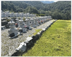  2025Ÿ��502981 �泲 �ݻ걺 �ߺθ� ���븮 29      ����(�Ӿ�)���