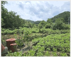  2025Ÿ503014 泲 ݻ걺   368-7      ()