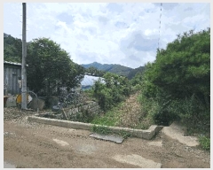  2025Ÿ503014 泲 ݻ걺   368-7      ()