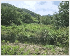  2025Ÿ503014 泲 ݻ걺   368-7      ()