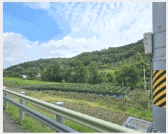  2025Ÿ503014 泲 ݻ걺   368-7      ()