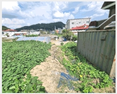  2025Ÿ��503138 ����Ư����ġ�� ����� ���⸮ 423-40       ����(��1)���