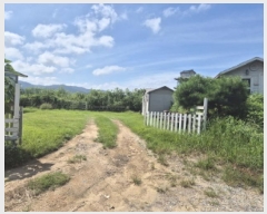  2025Ÿ��503179 ����Ư����ġ�� �屺�� �뱳�� 515-14       ����(����)���