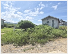  2025Ÿ��503179 ����Ư����ġ�� �屺�� �뱳�� 515-14       ����(����)���