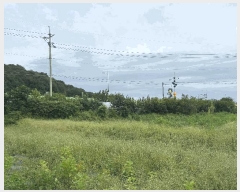  2025Ÿ��503301 ���� ������ �Ȼ굿 333-4       ����(��)���